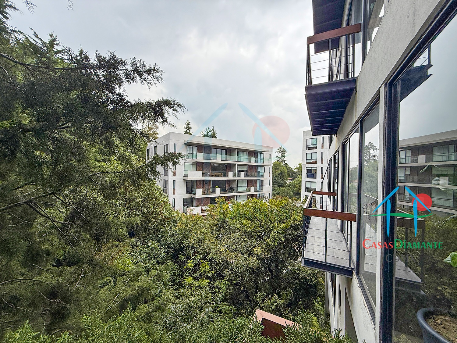 Desierto de los Leones Acanto BJA2 - Balcón 3